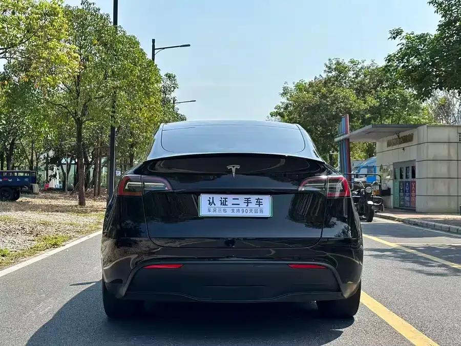 Tesla Model Y Model Y 2022 rear-wheel drive version 2022 — миниатюра 5