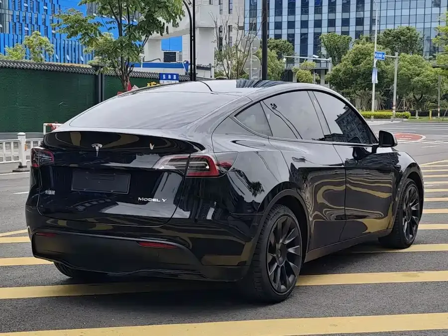 Tesla Model Y Model Y 2021 Standard Range Rear-wheel Drive Version 2022 — миниатюра 2