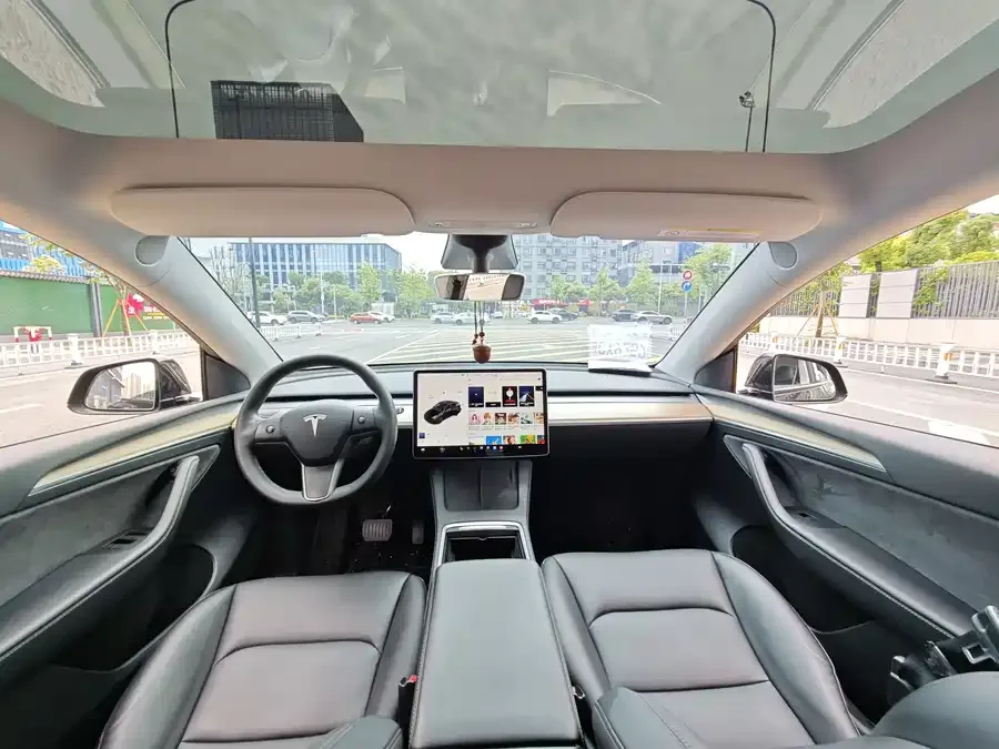 Tesla Model Y Model Y 2021 Standard Range Rear-wheel Drive Version 2022 — миниатюра 5