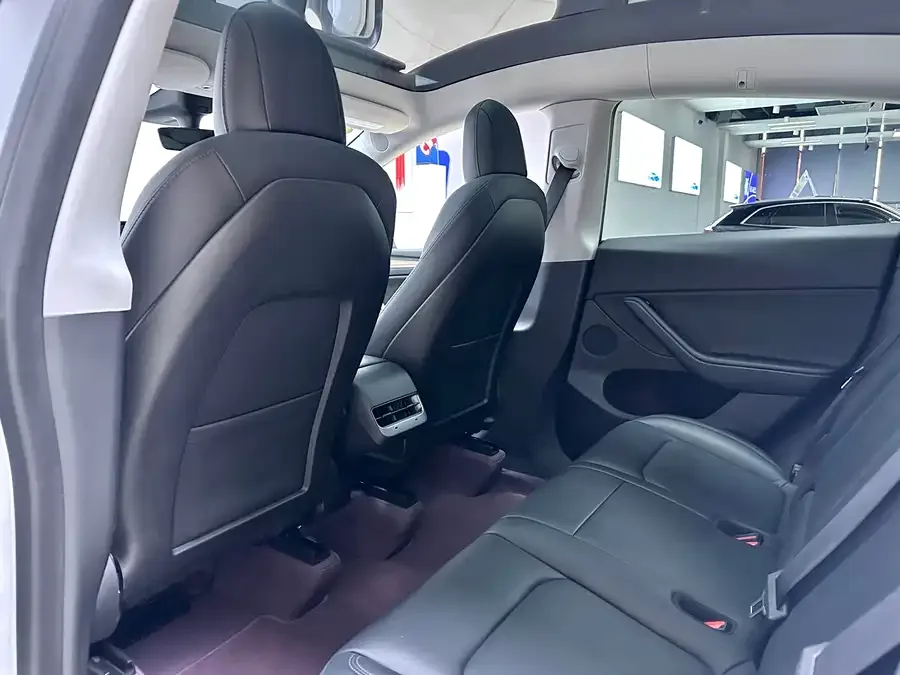 Tesla Model Y Model Y 2022 rear-wheel drive version 2022 — миниатюра 3