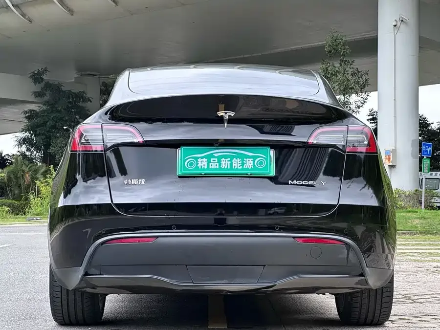 Tesla Model Y Model Y 2022 Long Range All-Wheel Drive Version 2022 — миниатюра 2