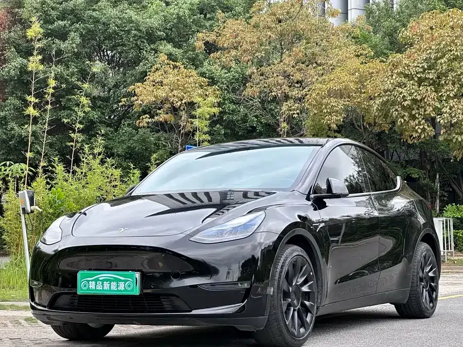 Tesla Model Y Model Y 2022 Long Range All-Wheel Drive Version 2022 — фото 1, купить с доставкой в Москву