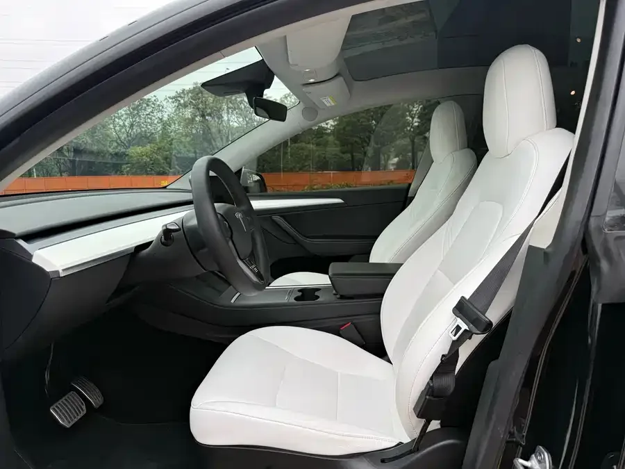 Tesla Model Y Model Y 2022 Long Range All-Wheel Drive Version 2022 — миниатюра 2