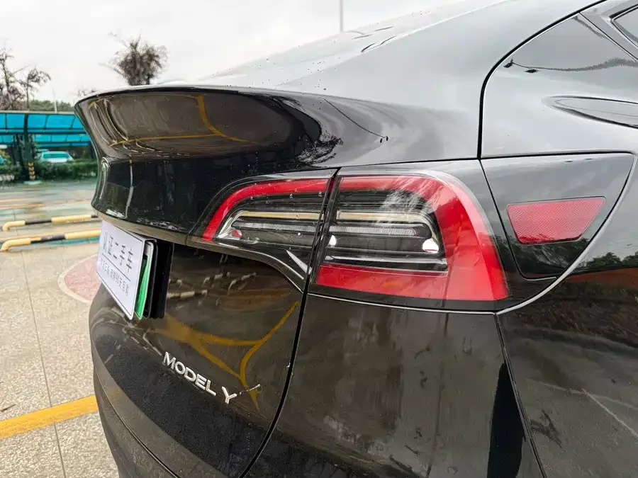 Tesla Model Y Model Y 2022 Long Range All-Wheel Drive Version 2022 — миниатюра 5