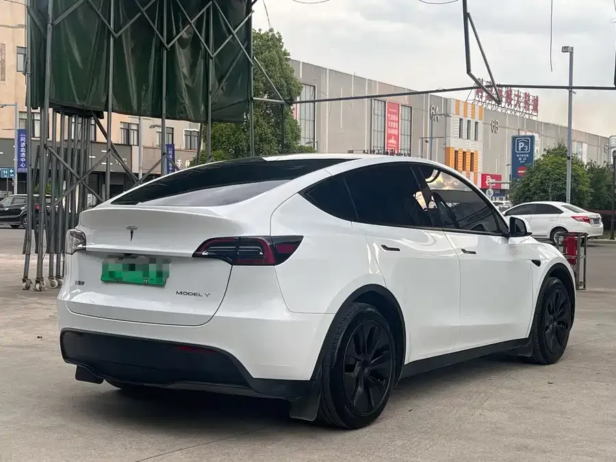 Tesla Model Y Model Y 2024 long-range all-wheel drive version 2024 — миниатюра 4