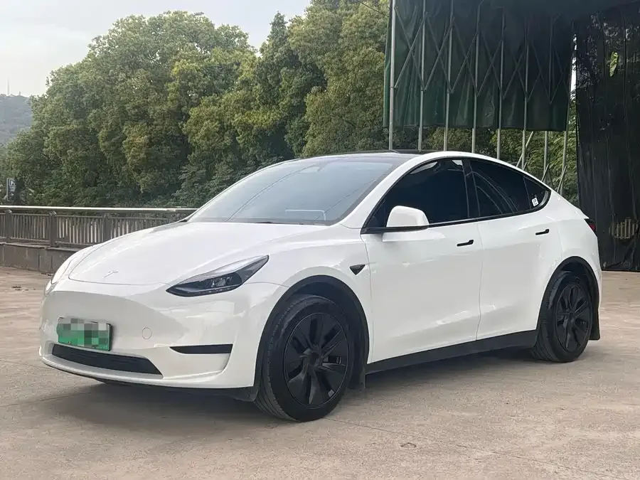 Tesla Model Y Model Y 2024 long-range all-wheel drive version 2024 — фото 1, купить с доставкой в Москву