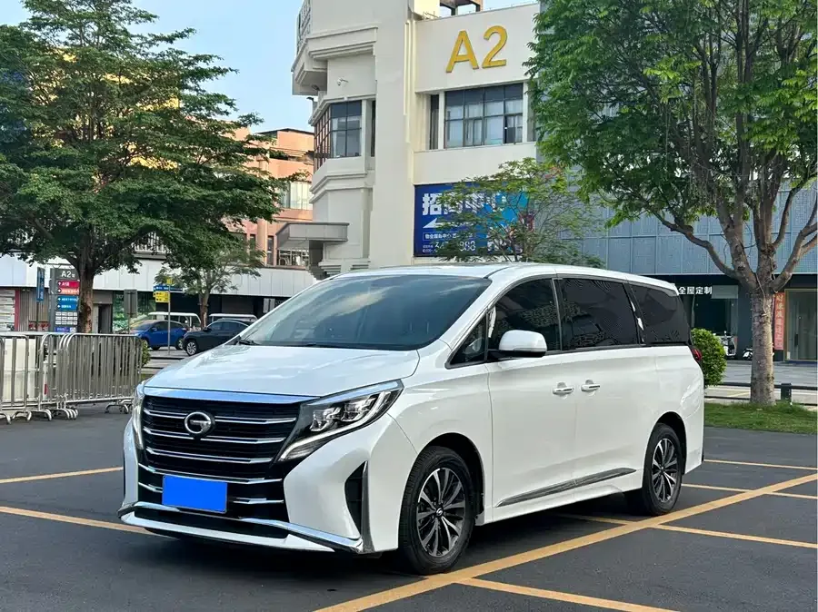 GAC Trumpchi M8 Trumpchi M8 2021 Lead Show Series 390T Exclusive Edition 2022 — фото 1, купить с доставкой в Москву