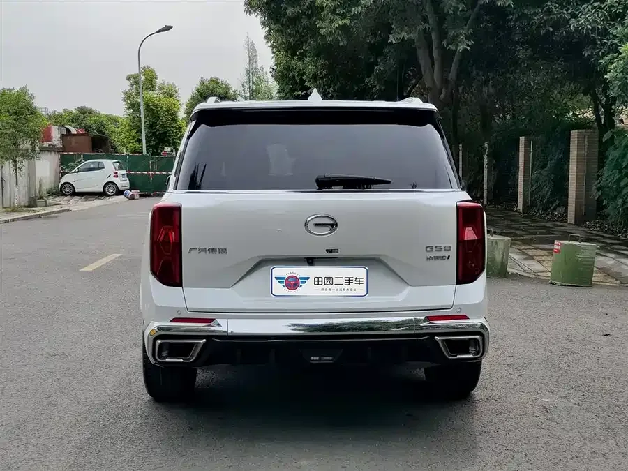 GAC Trumpchi GS8 Trumpchi GS8 2022 Dual Engine Series 2.0TM 2WD Premium Edition (7 Seaters) 2022 — миниатюра 2