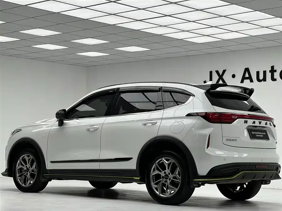 Haval Chitu (Red Rabbit) Haval Red Rabbit 2022 Exclusive Edition 1.5T Brass Rabbit 2022 — миниатюра 3