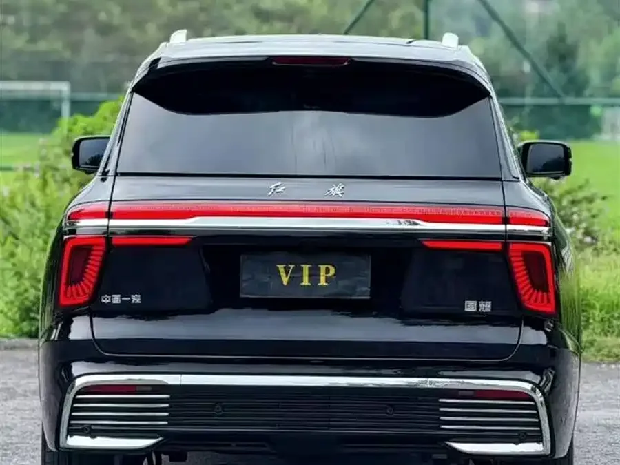 Hongqi Golden Sunflower National Glory Hongqi Golden Sunflower National Glory 2022 4.0T Deluxe Flagship Edition 4-seater 2023 — миниатюра 4