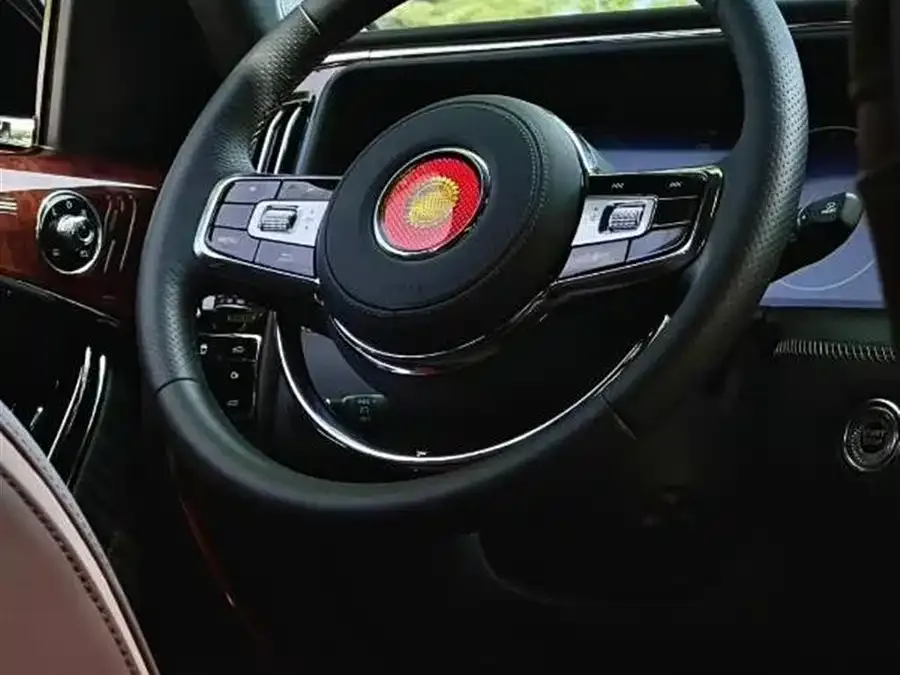 Hongqi Golden Sunflower National Glory Hongqi Golden Sunflower National Glory 2022 4.0T Deluxe Flagship Edition 4-seater 2023 — миниатюра 5