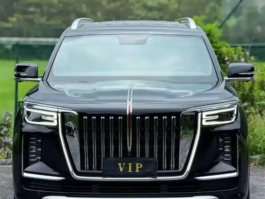 Hongqi Golden Sunflower National Glory 2023
