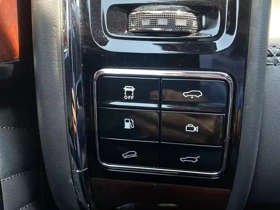 Hongqi Golden Sunflower National Glory Hongqi Golden Sunflower National Glory 2022 4.0T Deluxe Flagship Edition 4-seater 2023 — миниатюра 5