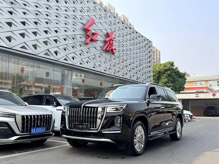 Hongqi Golden Sunflower National Glory 2023