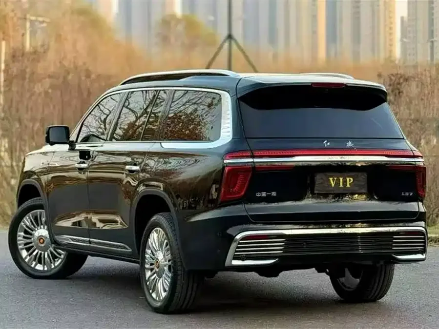 Hongqi Golden Sunflower National Glory Hongqi Golden Sunflower National Glory 2022 4.0T Deluxe Flagship Edition 4-seater 2025 — миниатюра 4