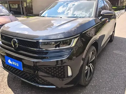 Volkswagen Tavendor 2023 buy in Moscow