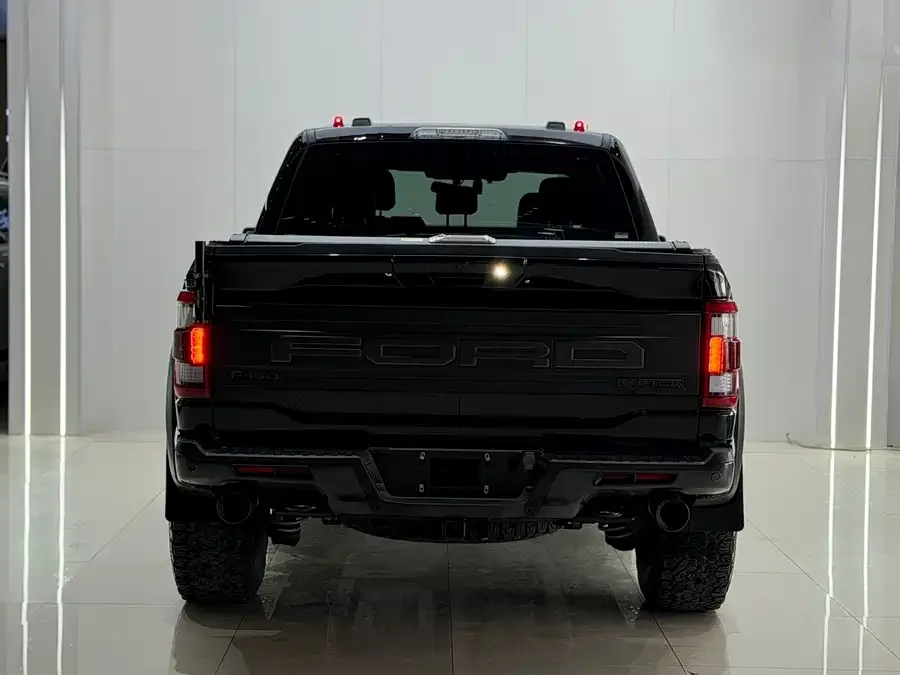 Ford F-150 Raptor 2023 3.5T Raptor 2024 — миниатюра 5