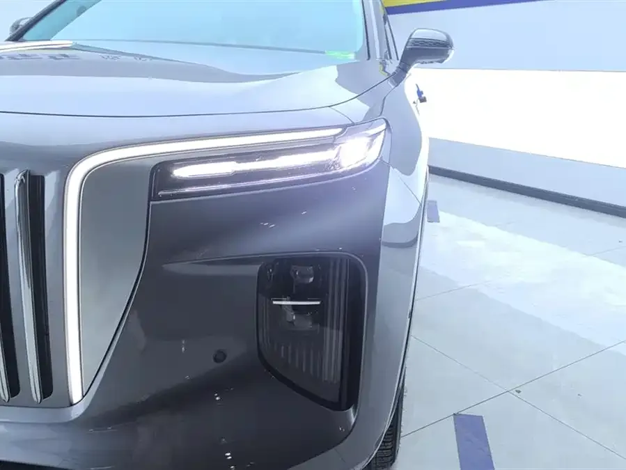Hongqi E-HS9 Hongqi E-HS9 2021 460km Flagship Edition Six Seaters 2023 — миниатюра 5