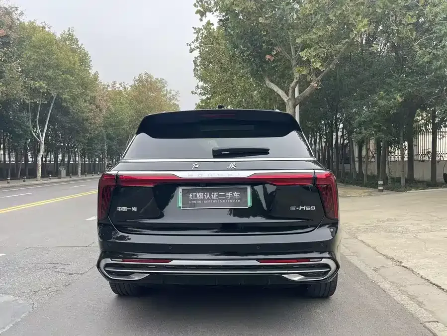 Hongqi E-HS9 Hongqi E-HS9 2022 660km Changqi Edition Six Seaters 2023 — миниатюра 4