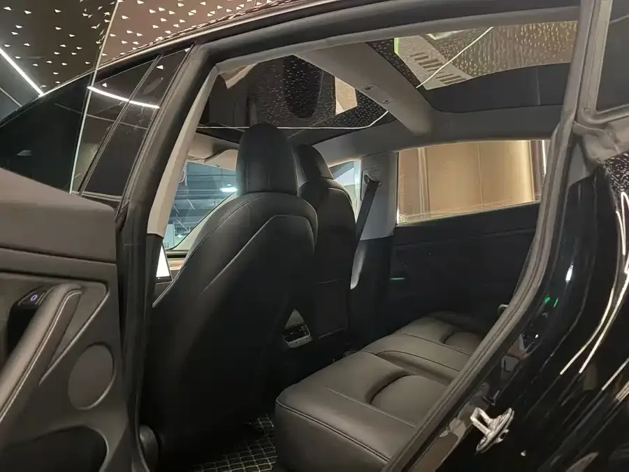 Tesla Model 3 Model 3 2022 rear-wheel drive version 2023 — миниатюра 3