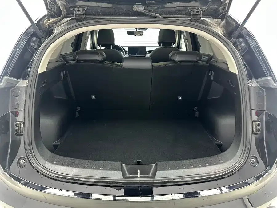 Haval Chitu (Red Rabbit) Haval Chitu 2022 Jinxiang Edition 1.5T Bronze Rabbit 2022 — миниатюра 3