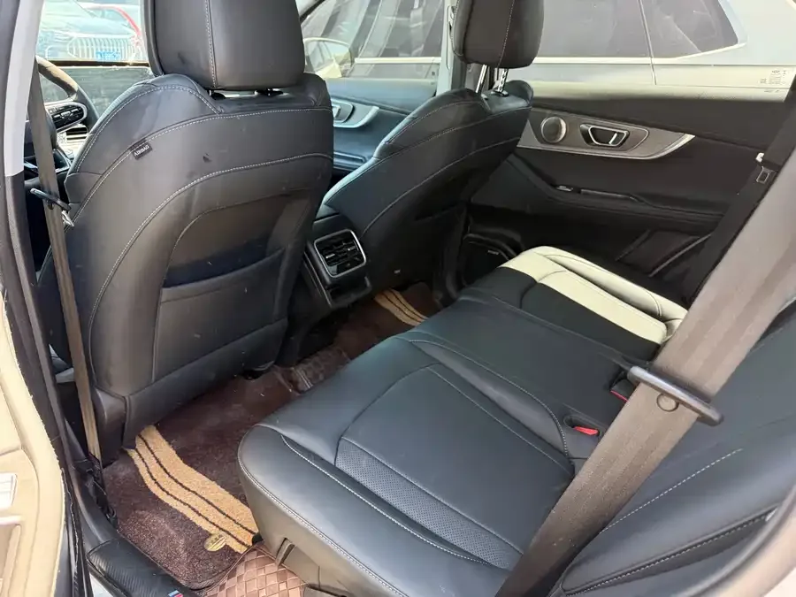 Chery Tiggo 8 PLUS Chery Tiggo 8 PLUS 2024 Champion Edition 290TGDI DCT Luxury Edition 5-seater 2024 — миниатюра 5