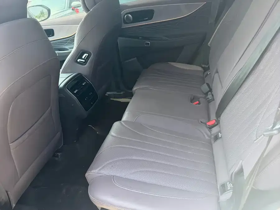 Chery Tiggo 9 C-DM Tiggo 9 C-DM 2025 1.5T 106KM Enjoyable Edition 5-seater LiFePO4 2025 — миниатюра 2