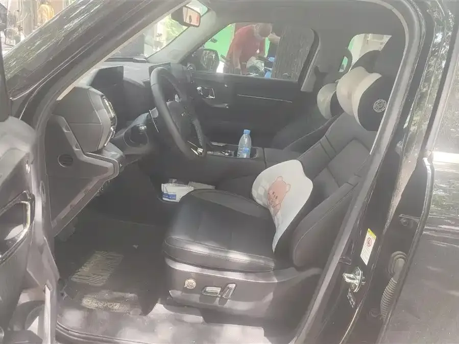 Haval Big Dog PLUS Haval Big Dog PLUS 2023 1.5T 2WD Trendy Wild Edition Plus 2024 — миниатюра 3
