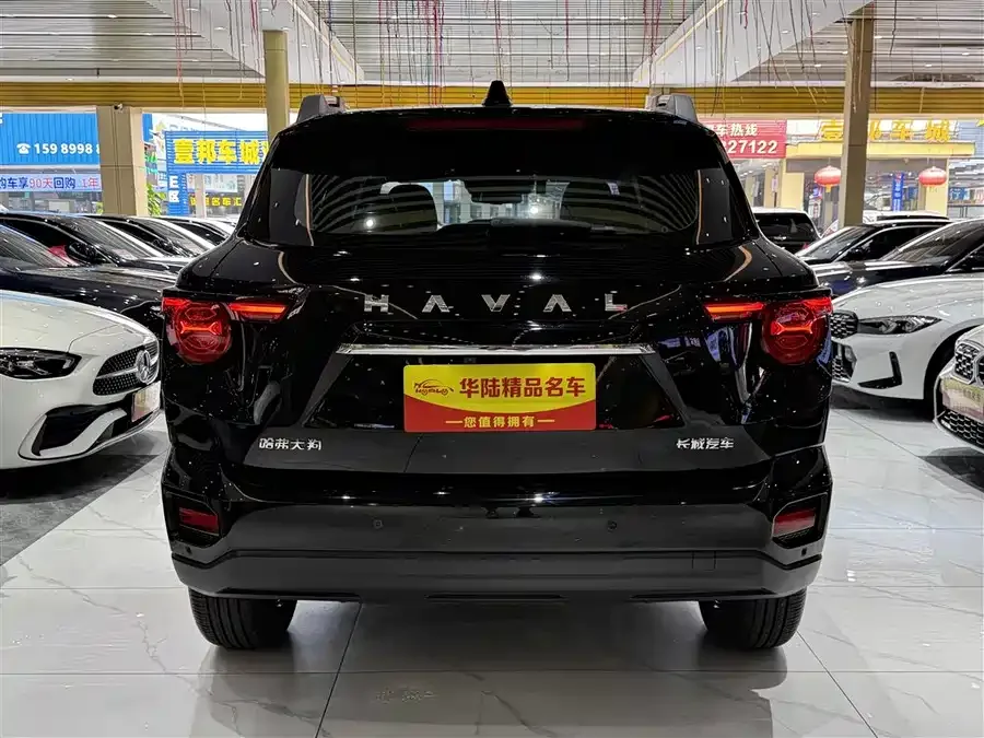 Haval Big Dog PLUS Haval Big Dog PLUS 2023 2.0T 2WD Trendy Wild Edition Plus 2025 — миниатюра 2