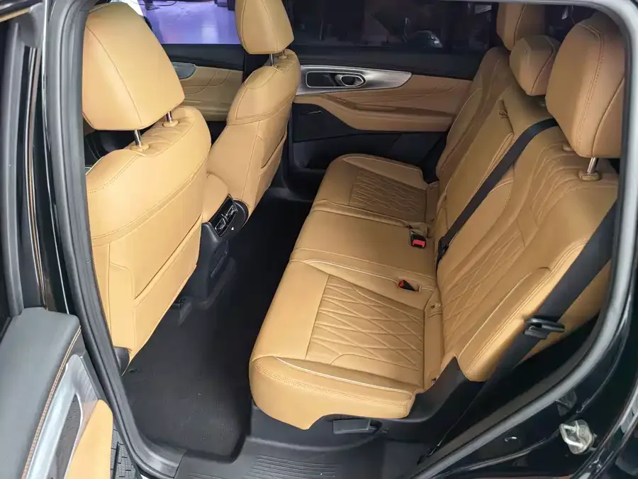 GAC Trumpchi GS8 Trumpchi GS8 2025 Pilot Series 2.0TGDI 2WD Luxury Edition 5 Seaters 2024 — миниатюра 3