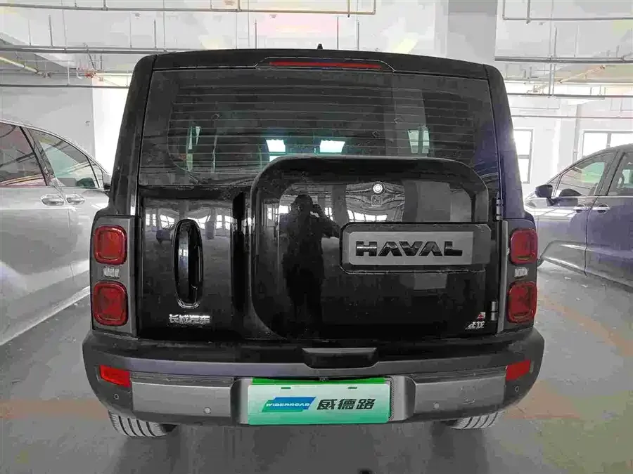 Haval Raptors New Energy Haval Raptors New Energy 2024 Hi4 145 Cross-Country Edition 2024 — миниатюра 5