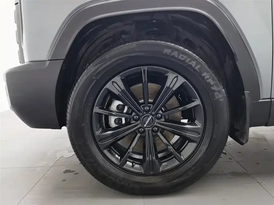 Haval Raptors New Energy Haval Raptors New Energy 2024 Hi4 145 Cross-Country Edition 2024 — миниатюра 5