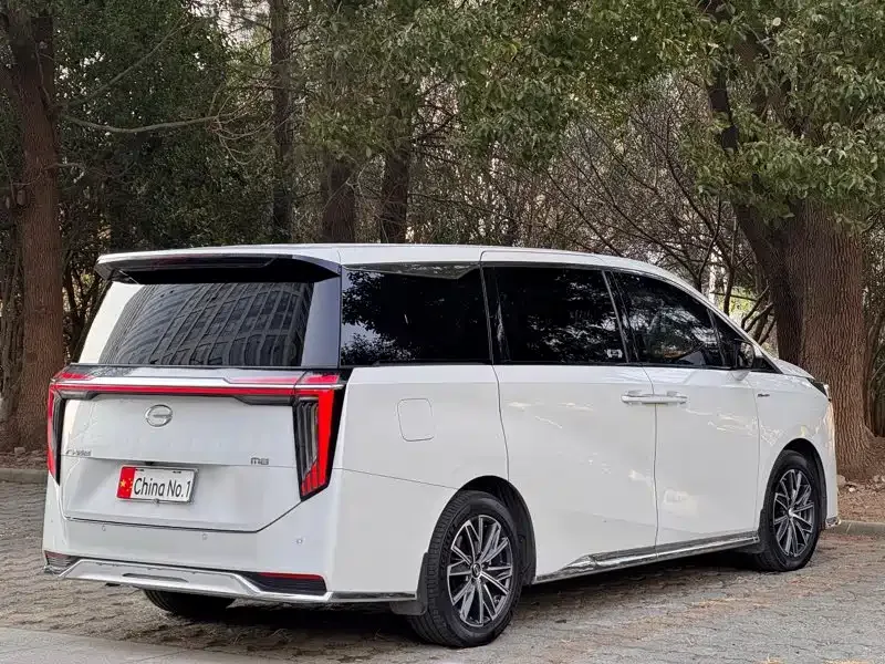 GAC Trumpchi M8 Trumpchi M8 2023 Master Series 390T Extreme Edition 2024 — миниатюра 4