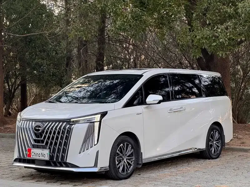 GAC Trumpchi M8 2024