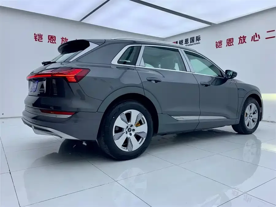 Audi e-tron 2021 50 quattro Luxury 2026 — миниатюра 2