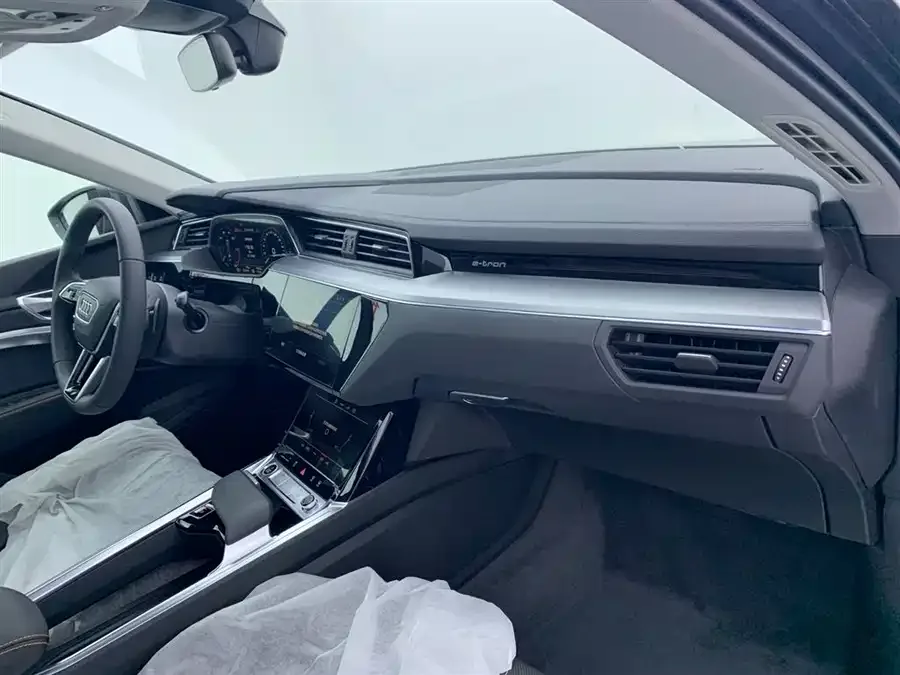 Audi e-tron 2021 50 quattro Luxury 2026 — миниатюра 5