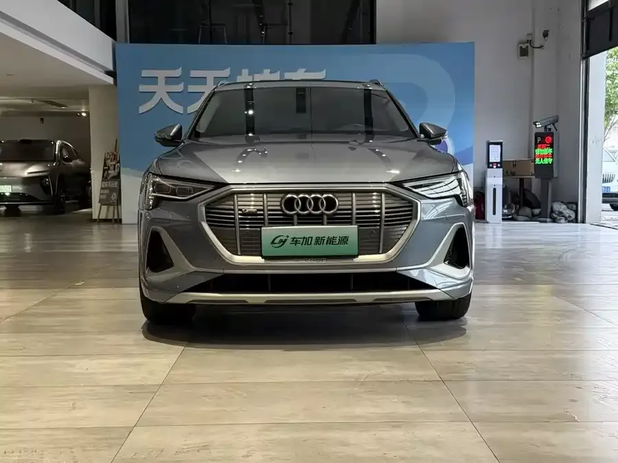 Audi e-tron 2021 50 quattro Luxury 2023 — миниатюра 4