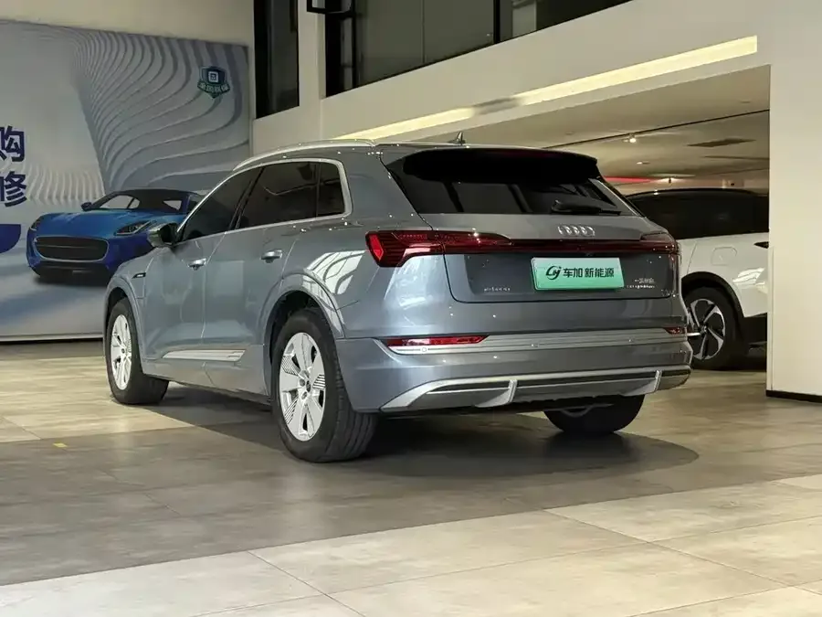 Audi e-tron 2021 50 quattro Luxury 2023 — миниатюра 5