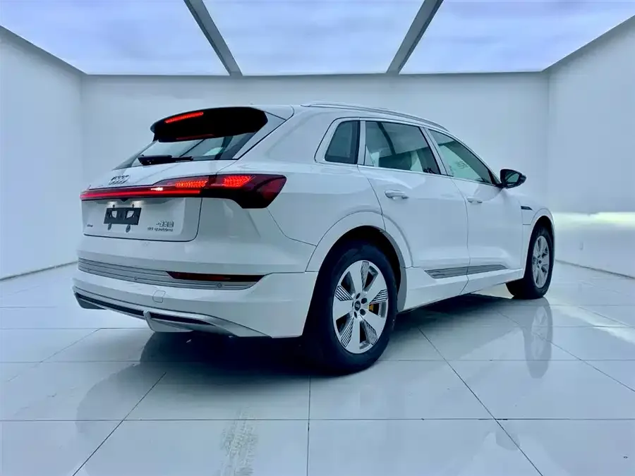 Audi e-tron 2021 50 quattro Luxury 2026 — миниатюра 2