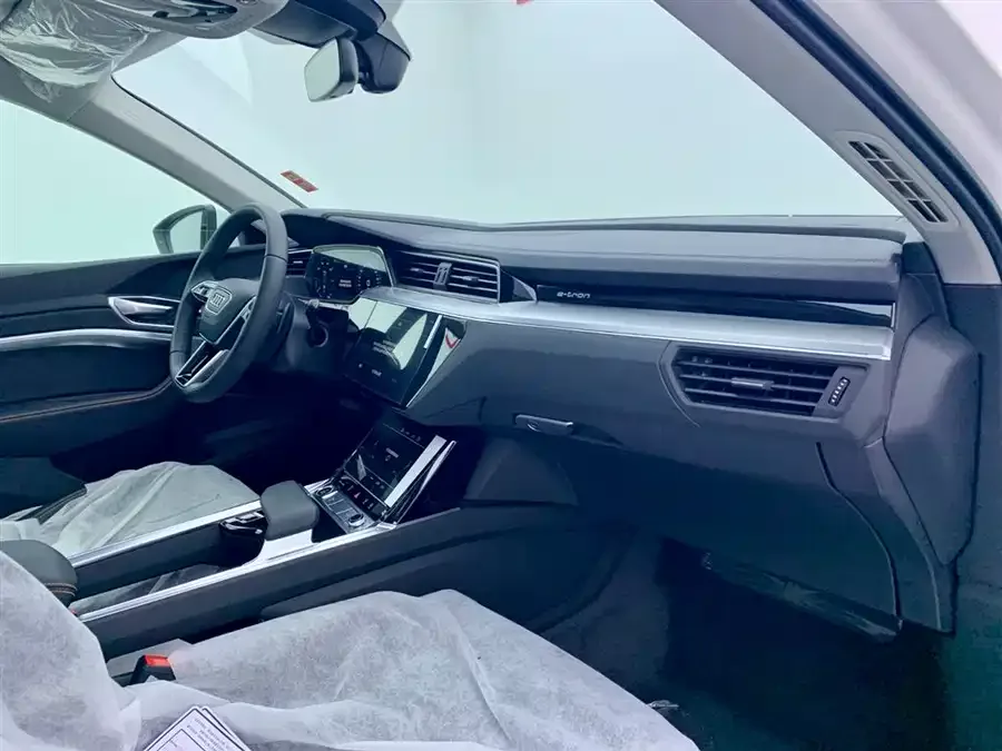 Audi e-tron 2021 50 quattro Luxury 2026 — миниатюра 5