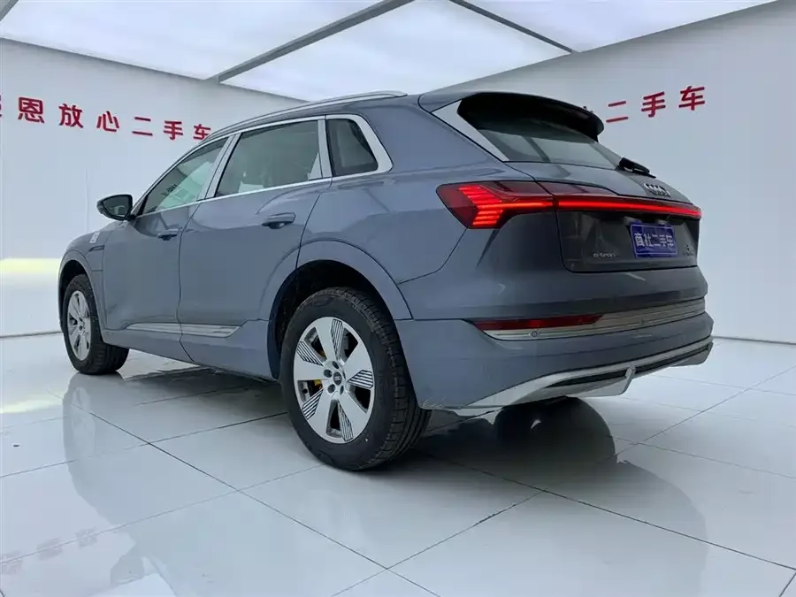 Audi e-tron 2021 50 quattro Luxury 2026 — миниатюра 2