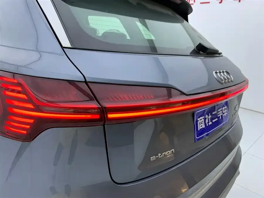 Audi e-tron 2021 50 quattro Luxury 2026 — миниатюра 3