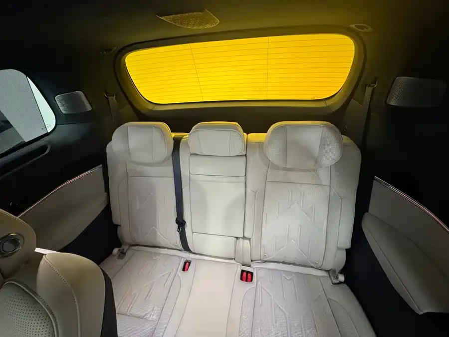 Zeekr 009 Zeekr 009 2024 seven-seat aisle version 108kWh 2025 — миниатюра 4