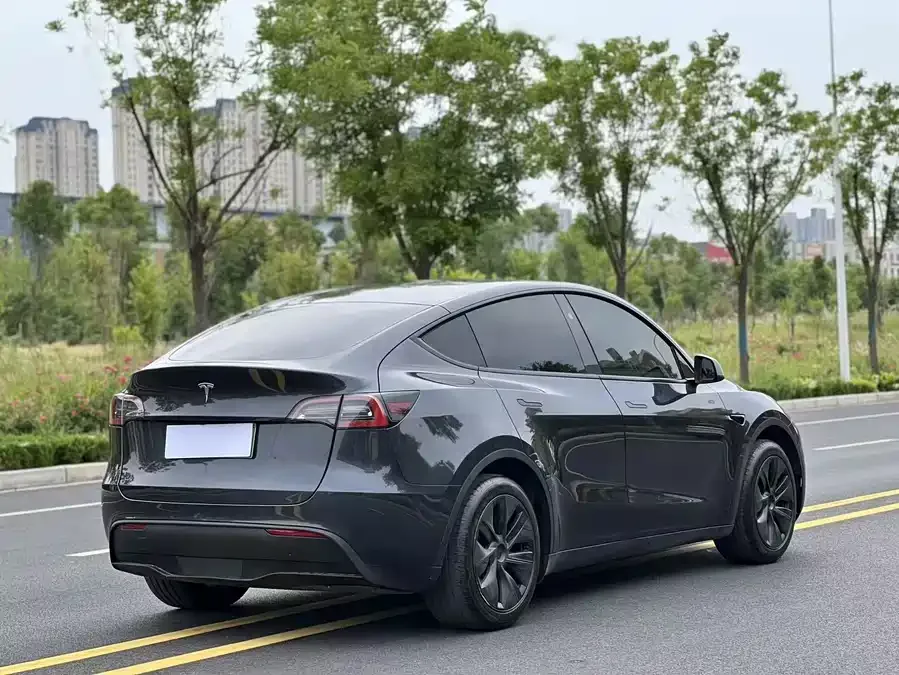 Tesla Model Y Model Y 2024 rear-wheel drive version 2024 — миниатюра 3