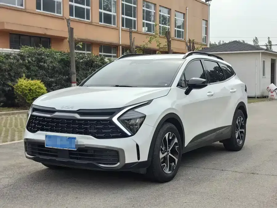 Kia Lion Platinum 2024