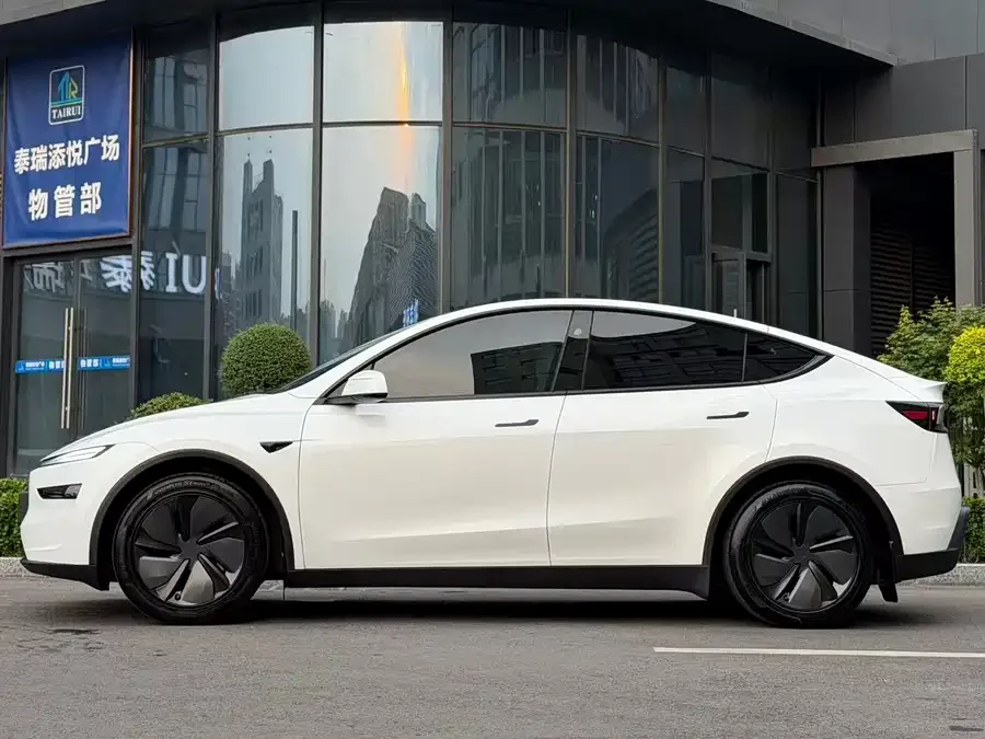 Tesla Model Y Model Y 2025 long-range all-wheel drive version 2025 — миниатюра 2