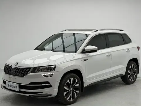 Skoda Karoq 2024 купить в Москве