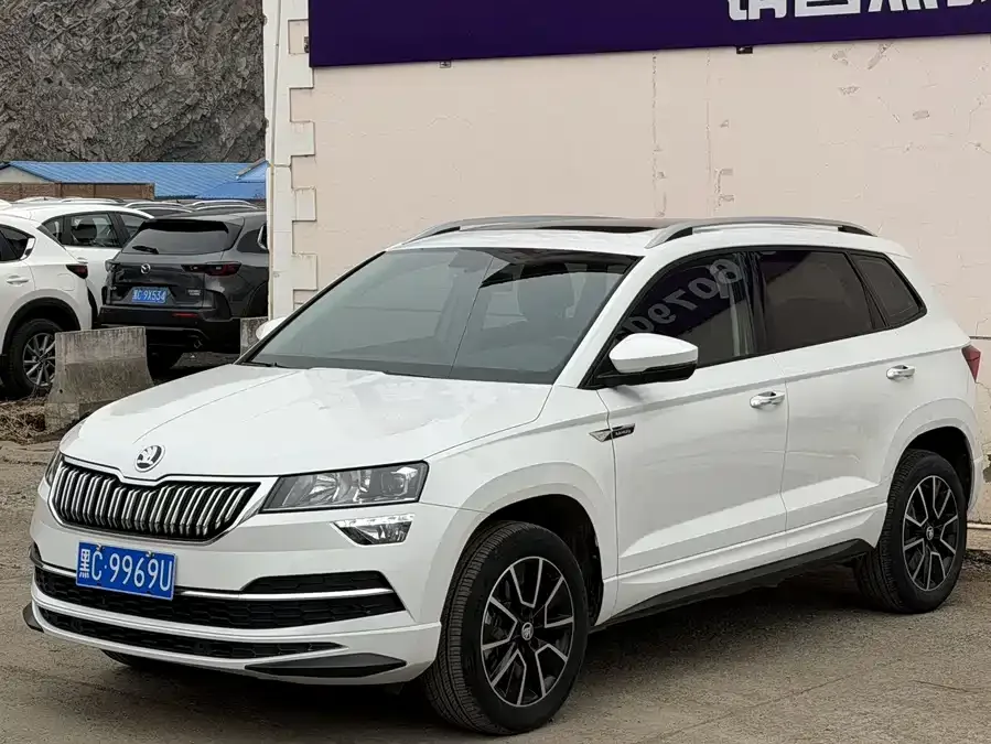 Skoda Karoq Korok 2023 TSI280 Exclusive Edition 2024 — фото 1, купить с доставкой в Москву