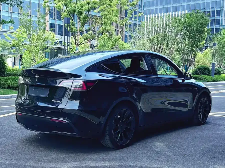 Tesla Model Y Model Y 2021 Standard Range Rear-wheel Drive Version 2022 — миниатюра 3
