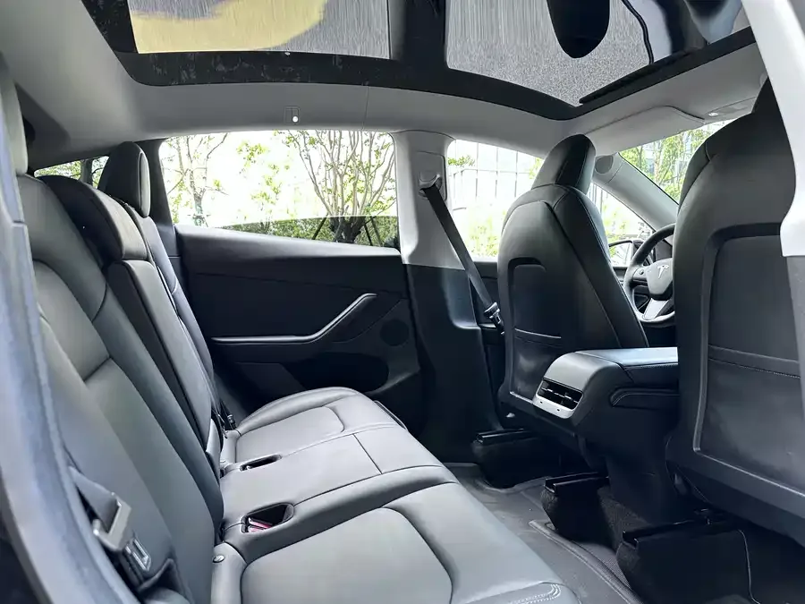 Tesla Model Y Model Y 2021 Standard Range Rear-wheel Drive Version 2022 — миниатюра 5